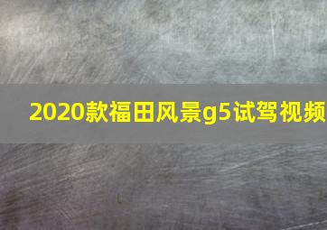 2020款福田风景g5试驾视频