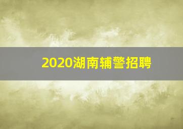 2020湖南辅警招聘