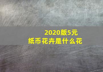 2020版5元纸币花卉是什么花