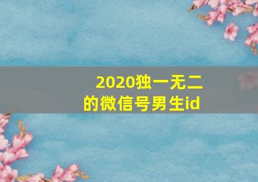 2020独一无二的微信号男生id