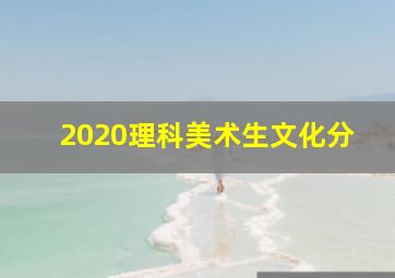 2020理科美术生文化分