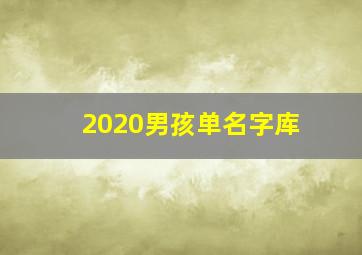 2020男孩单名字库