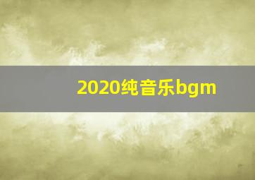 2020纯音乐bgm