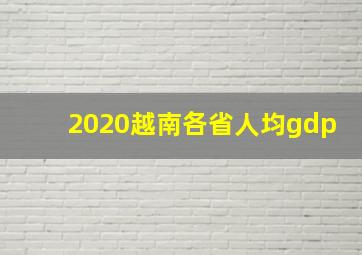 2020越南各省人均gdp