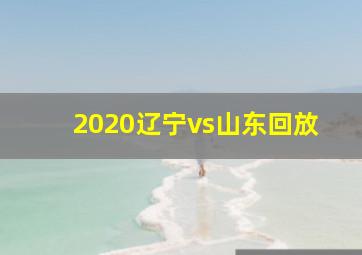 2020辽宁vs山东回放