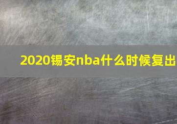 2020锡安nba什么时候复出