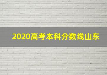 2020高考本科分数线山东