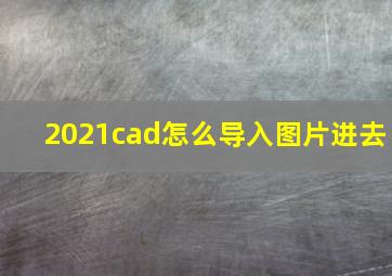 2021cad怎么导入图片进去