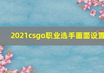 2021csgo职业选手画面设置