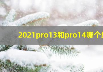 2021pro13和pro14哪个好