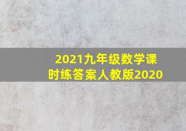 2021九年级数学课时练答案人教版2020