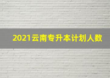 2021云南专升本计划人数