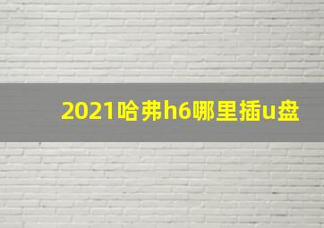 2021哈弗h6哪里插u盘