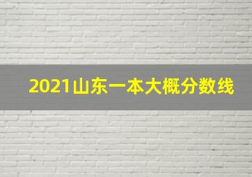 2021山东一本大概分数线