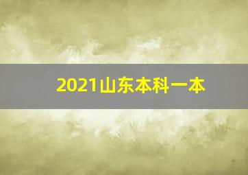 2021山东本科一本