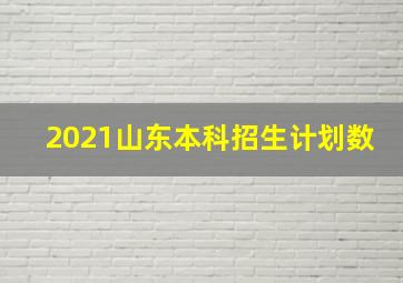 2021山东本科招生计划数