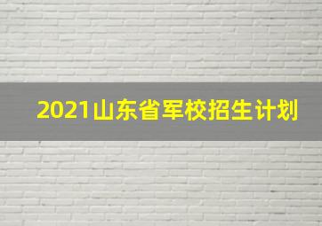 2021山东省军校招生计划