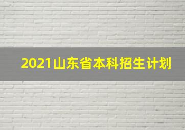 2021山东省本科招生计划