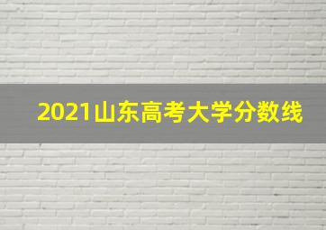 2021山东高考大学分数线