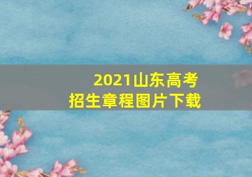 2021山东高考招生章程图片下载