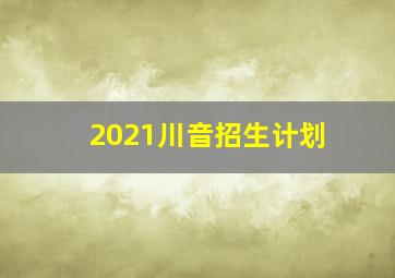 2021川音招生计划