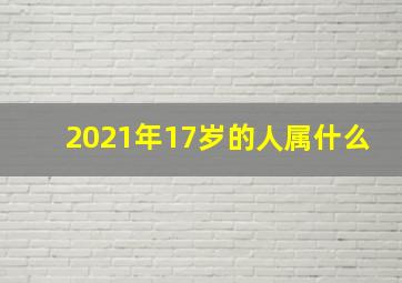 2021年17岁的人属什么