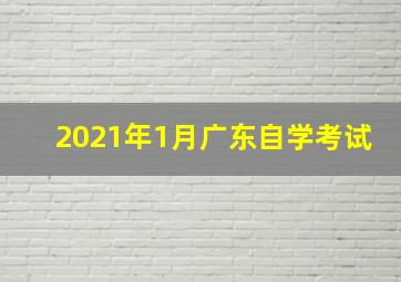 2021年1月广东自学考试