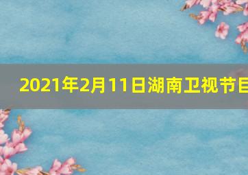 2021年2月11日湖南卫视节目