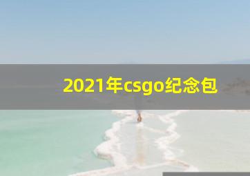 2021年csgo纪念包