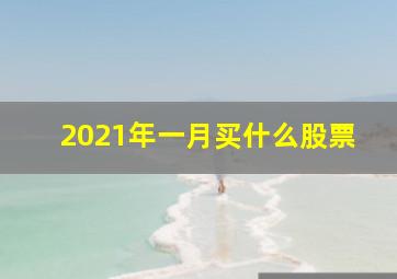 2021年一月买什么股票