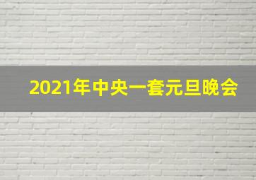 2021年中央一套元旦晚会