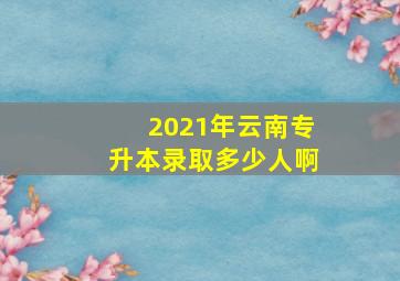 2021年云南专升本录取多少人啊