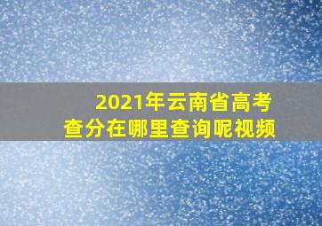 2021年云南省高考查分在哪里查询呢视频