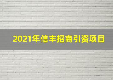 2021年信丰招商引资项目