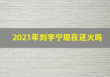 2021年刘宇宁现在还火吗