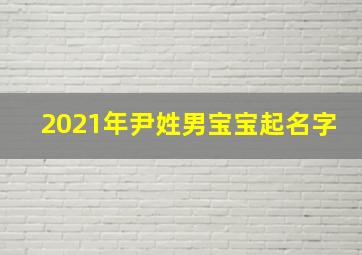 2021年尹姓男宝宝起名字