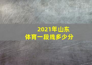 2021年山东体育一段线多少分