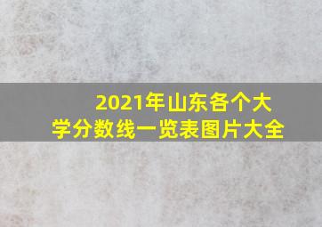 2021年山东各个大学分数线一览表图片大全