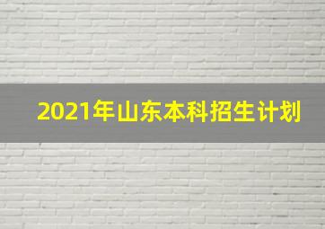 2021年山东本科招生计划