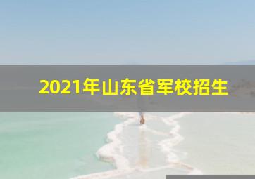 2021年山东省军校招生