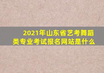 2021年山东省艺考舞蹈类专业考试报名网站是什么