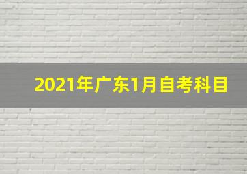 2021年广东1月自考科目