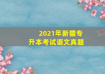 2021年新疆专升本考试语文真题