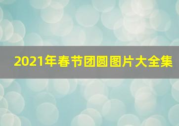 2021年春节团圆图片大全集