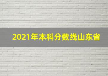 2021年本科分数线山东省