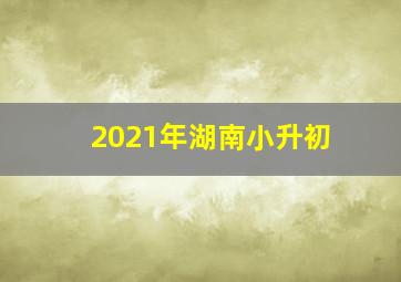 2021年湖南小升初