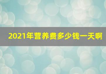 2021年营养费多少钱一天啊