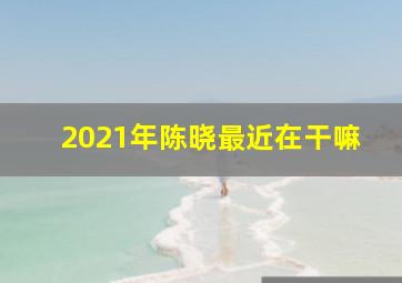 2021年陈晓最近在干嘛