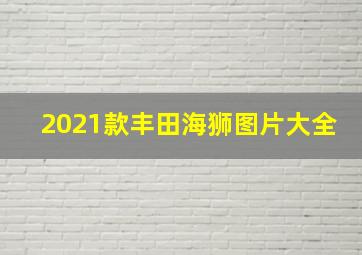 2021款丰田海狮图片大全