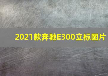 2021款奔驰E300立标图片